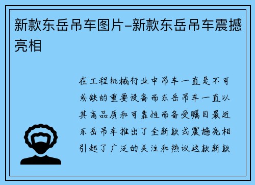 新款东岳吊车图片-新款东岳吊车震撼亮相 新款东岳吊车图片-新款东岳吊车震撼亮相