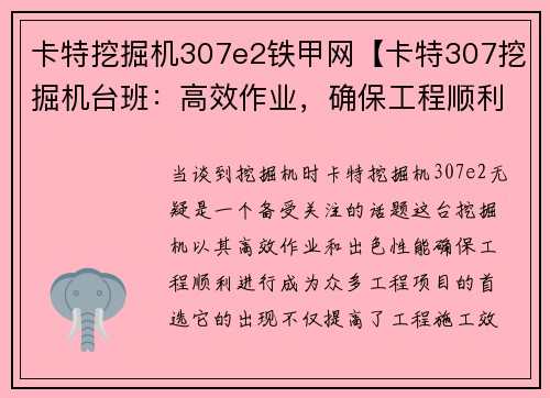 卡特挖掘机307e2铁甲网【卡特307挖掘机台班:高效作业,确保工程顺利进行】 卡特挖掘机307e2铁甲网【卡特307挖掘机台班:高效作业,确保工程顺利进行】