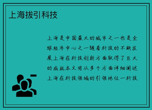 上海拔引科技 上海拔引科技