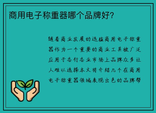 商用电子称重器哪个品牌好? 商用电子称重器哪个品牌好?