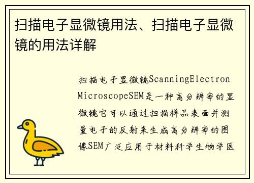 扫描电子显微镜用法、扫描电子显微镜的用法详解 扫描电子显微镜用法、扫描电子显微镜的用法详解