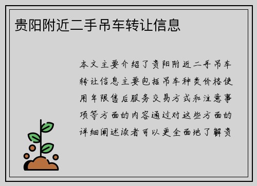 贵阳附近二手吊车转让信息